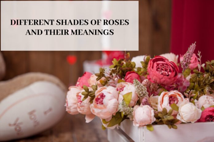 DIFFERENT SHADES OF ROSES AND THEIR MEANINGS scaled