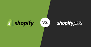Shopify Plus license